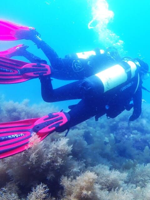 My first scuba dive into the Ocean from Sao Miguel - How the Experience Unfolds