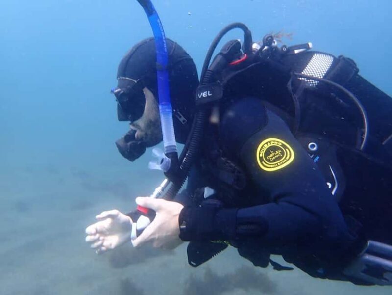 My First Scuba Dive into the Ocean from Terceira - Azores - Key Points