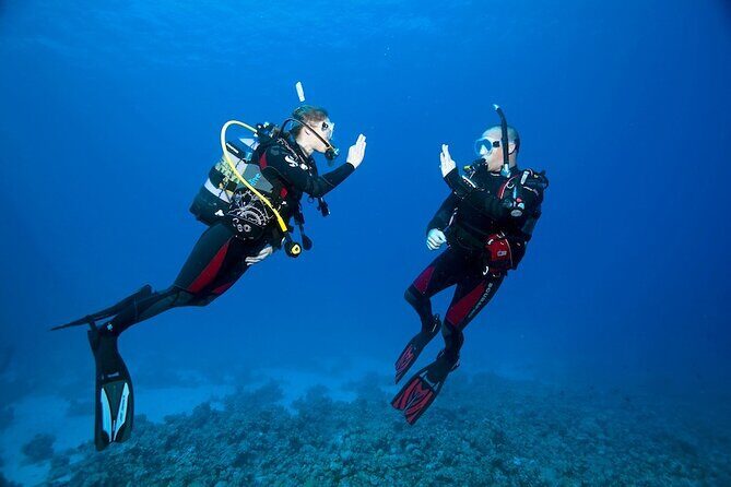 My first scuba experience in the Ocean - My First Scuba Experience in the Ocean
