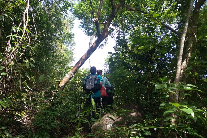 My Son sanctuary and mountain trekking - Who Will Love This Tour?