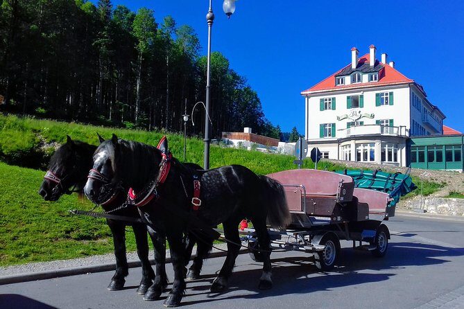 MY*GUiDE EXCLUSiVE Neuschwanstein Tour INCL. TICKETS from GARMISCH-PARTENKIRCHEN - What Really Sets This Tour Apart
