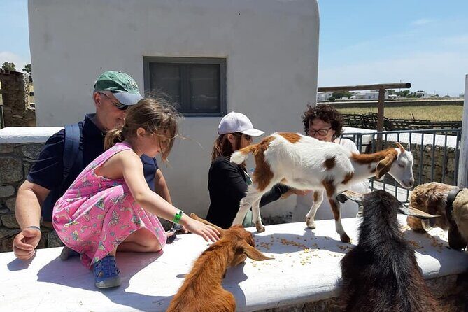 Mykonian Farm Experience - Key Points
