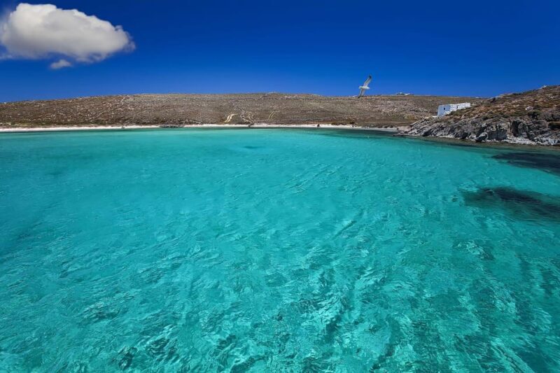 Mykonos Catamaran Delos Rhenia semi private cruise - Frequently Asked Questions