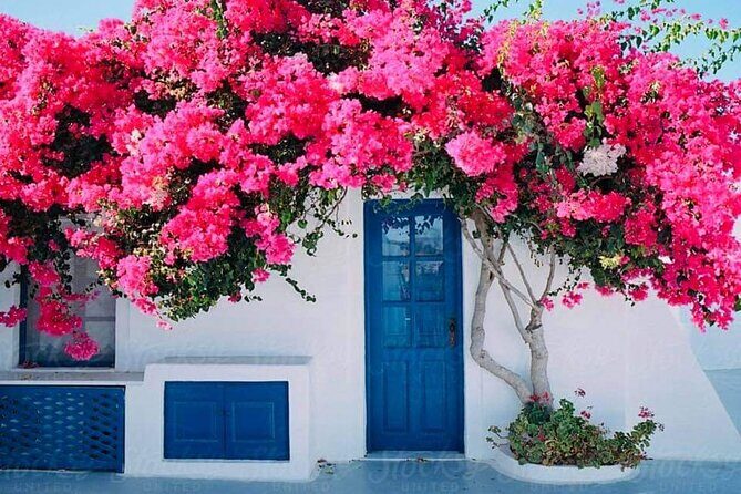 Mykonos Coastal Delights: A Cruise Passenger's Dream Day - Frequently Asked Questions
