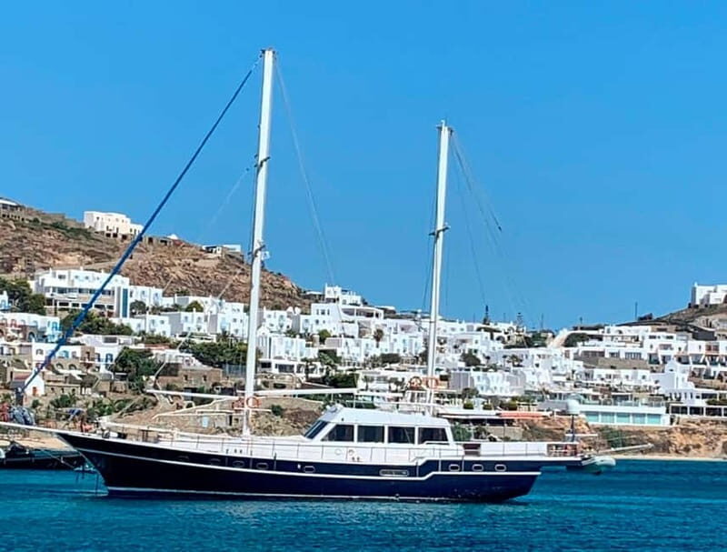 Mykonos: Delos and Rhenia Islands Cruise with BBQ Meal - Setting the Stage: What to Expect on the Cruise