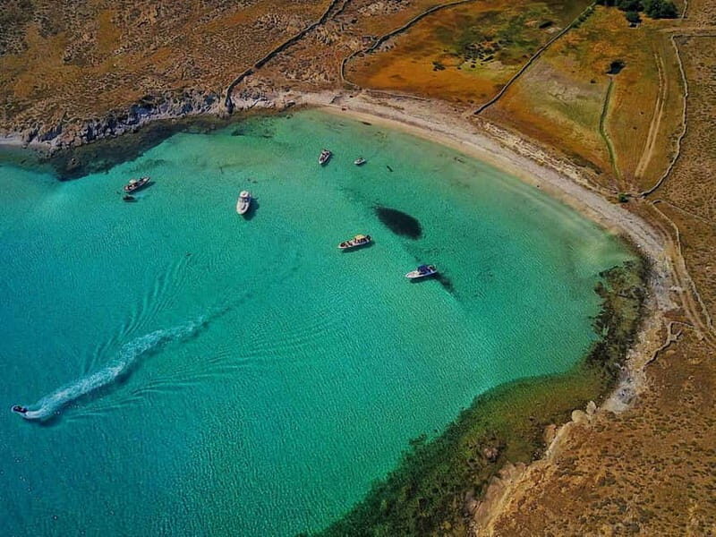 Mykonos: Delos and Rhenia Land Cruise with Fruit and Snacks - Authenticity and Value