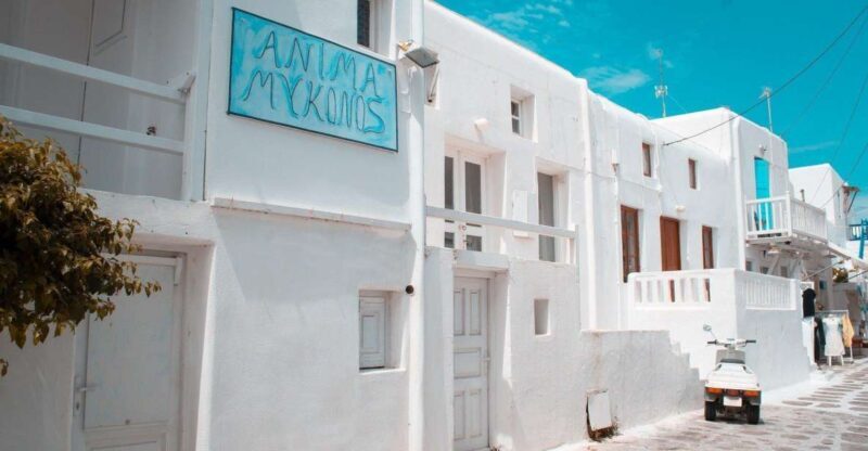 Mykonos: Delos and the city walking tour - Key Points
