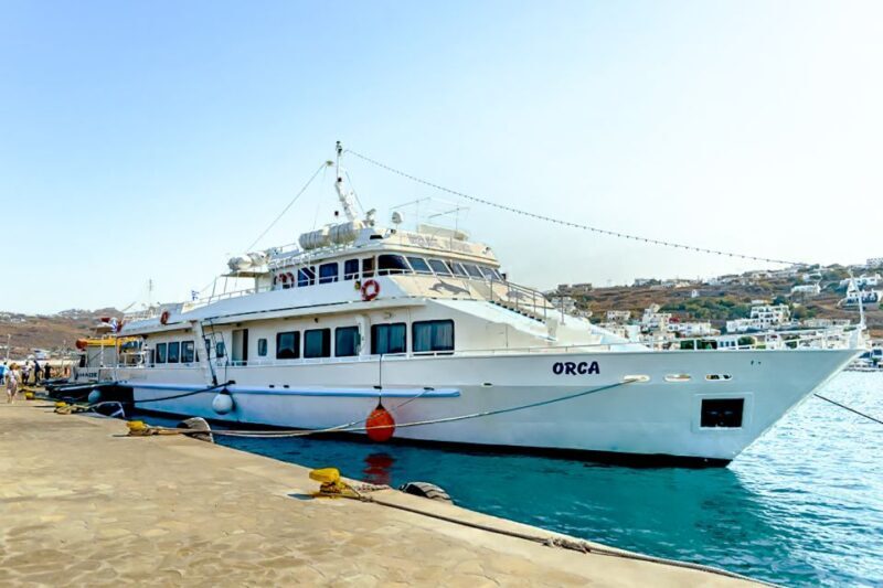 Mykonos: Delos Boat Transfer with Cell Phone Audioguide - Final Thoughts: Is It Worth It?
