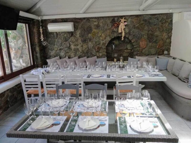 Mykonos: Half-Day Wine Tasting and Snack at a Local House - Who Will Love This Tour?