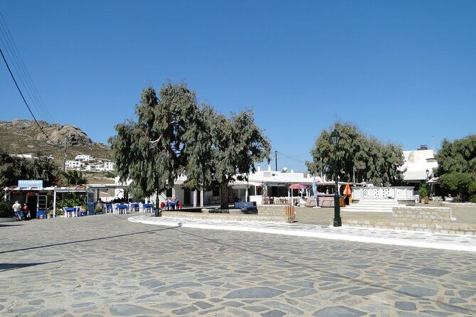 Mykonos Highlights by a local - Key Points