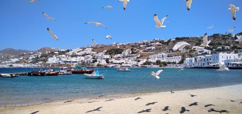 Mykonos: Highlights Tour with Panagia Tourliani Monastery - The Sum Up