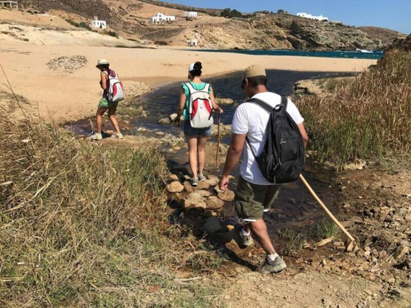 Mykonos Hiking Adventure - A Deep Dive into the Mykonos Hiking Adventure