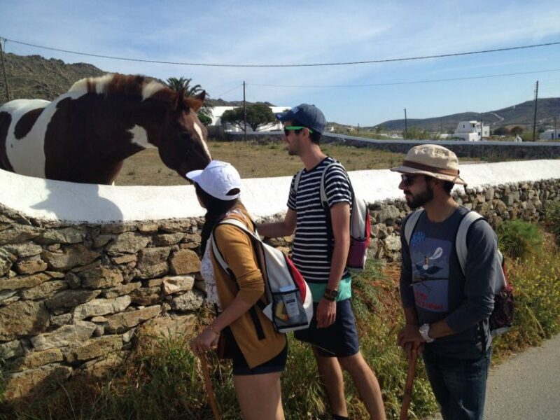 Mykonos Hiking Adventure - FAQ
