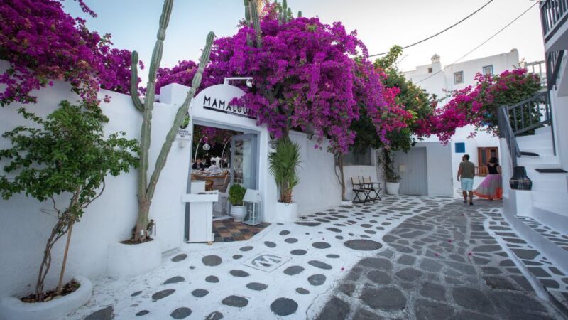 Mykonos: Mykonos Town Private Walking Tour - Who Should Book This Tour?