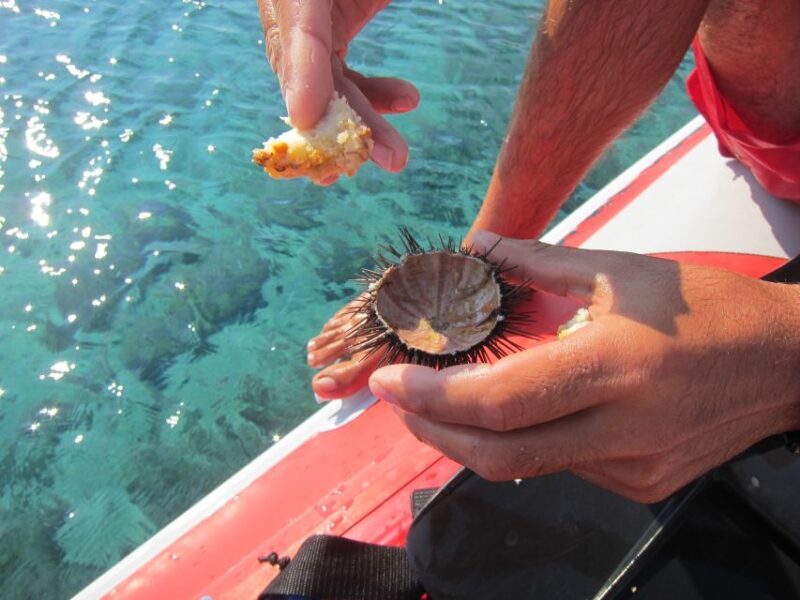 Mykonos: Private Boat Trip and Snorkeling Sea Safari - FAQs About the Mykonos Private Boat Trip and Sea Safari