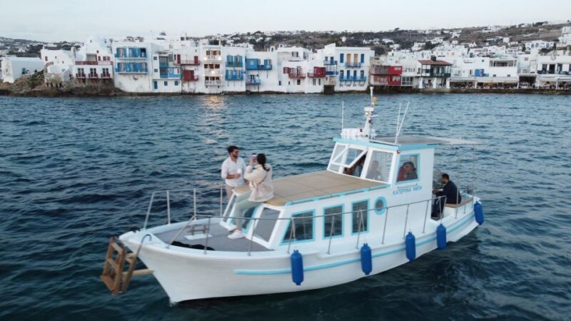 Mykonos: private half-day cruise south beaches of Mykonos - Why This Tour Offers Great Value