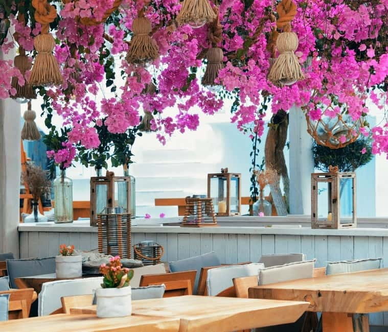 Mykonos: Private Island Tour with Transfers and Greek Meal - Frequently Asked Questions (FAQs)
