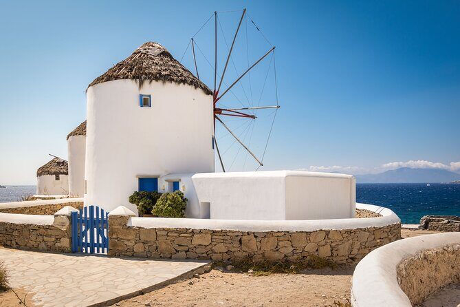 Mykonos Shore Excursion: Elia Beach & Town Exploration - Final Thoughts