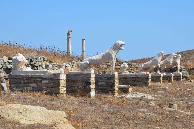 Mykonos Shore Excursion: Private Tour to Delos Island - Who Should Consider This Tour?