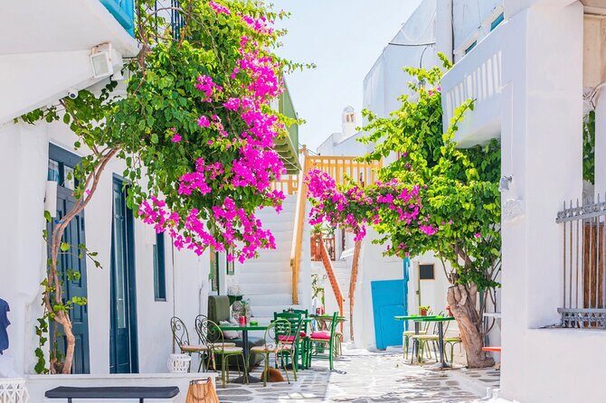 Mykonos Small Group Tour for Cruise Passengers  Port Pickup - FAQ