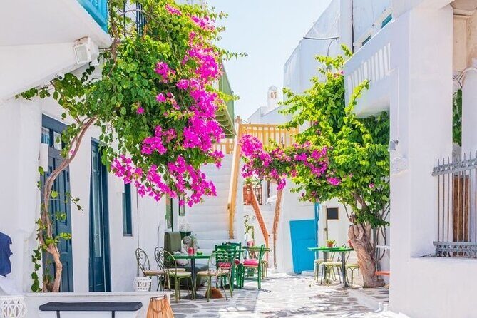 Mykonos Tour from Cruise Port including Little Venice & Windmills - Final Thoughts