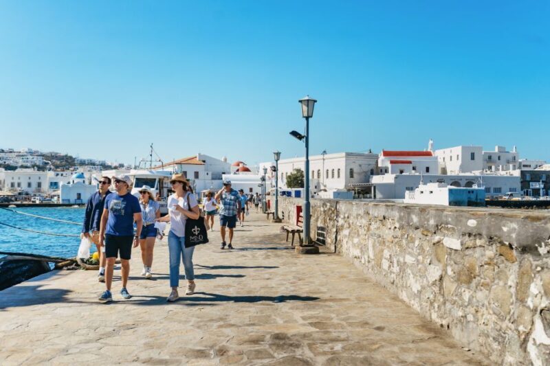 Mykonos Town: Archaeological Site of Delos Guided Day Trip - Who Should Consider This Tour?