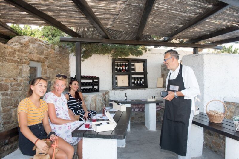 Mykonos: Wine Tasting at a Mykonian Farm - Key Points