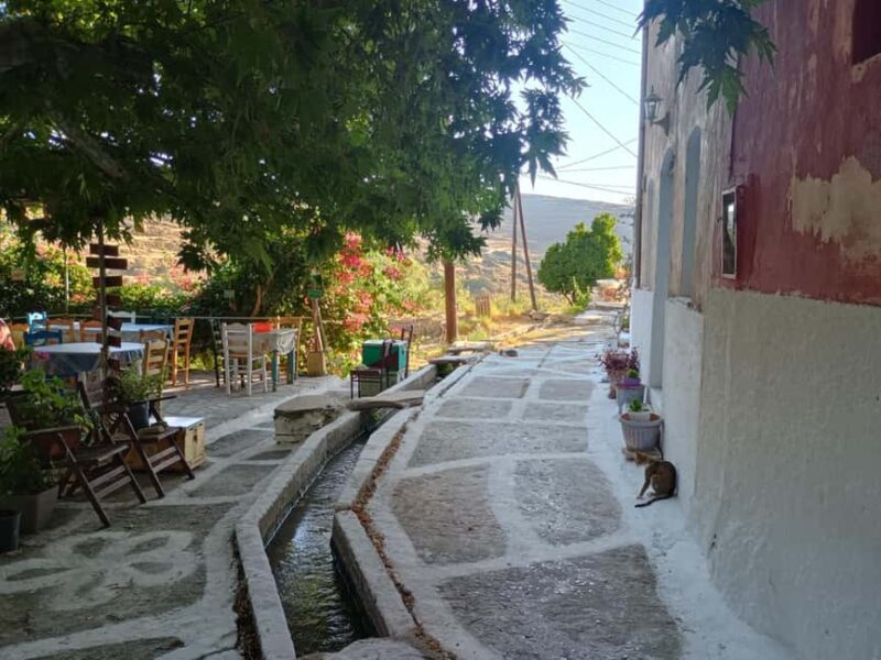 Myli: Beekeeping Secrets Guided Tour with Traditional Meze - Key Points