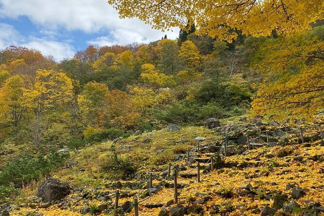 Myoko and Madarao Day Tour Snow Monkeys, Zenkoji and Sake - FAQs