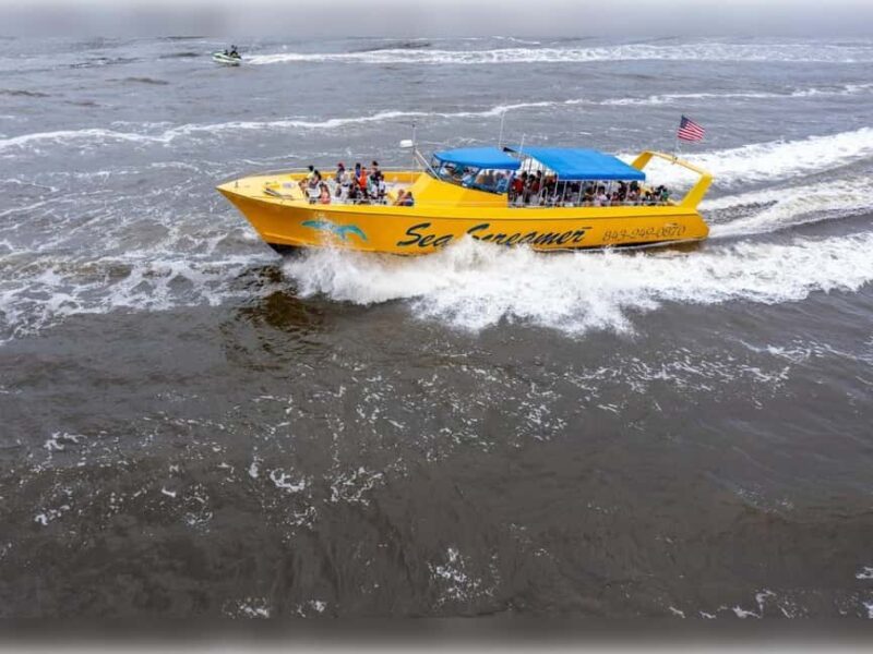 Myrtle Beach: Dolphin Cruise on the Sea Screamer - Practical Details and Tips for Travelers