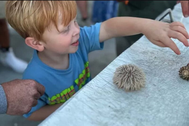 Myrtle Beach: Dolphin & Sealife Cruise, Great For All Ages! - A Closer Look at the Myrtle Beach Dolphin & Sealife Cruise