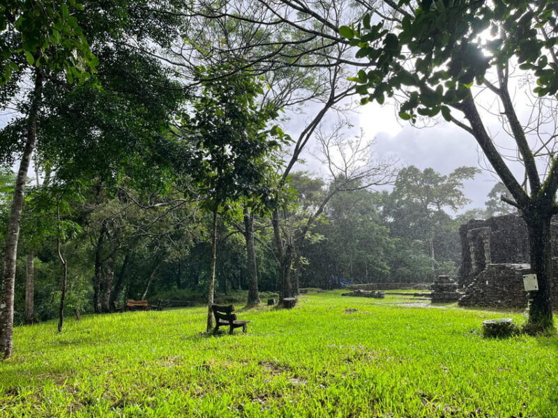 MySon Holyland - Rice Paper Making Deluxe Tour from Danang - Detailed Breakdown of the Itinerary