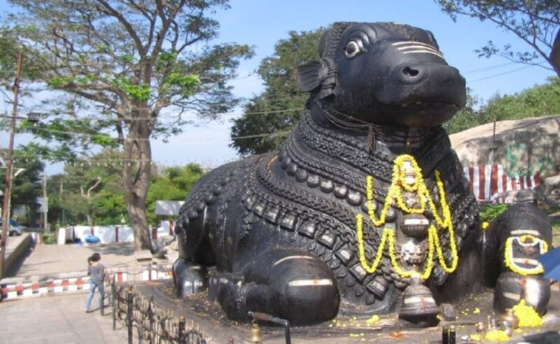 Mysore: Private Full-Day Sightseeing Tour of the City - In-Depth Review of the Mysore Private Full-Day Tour