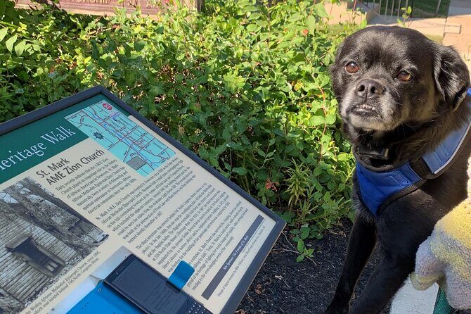 Mysteries on the Move: Scavenger Hunt in Savannah - Practical Considerations for Travelers