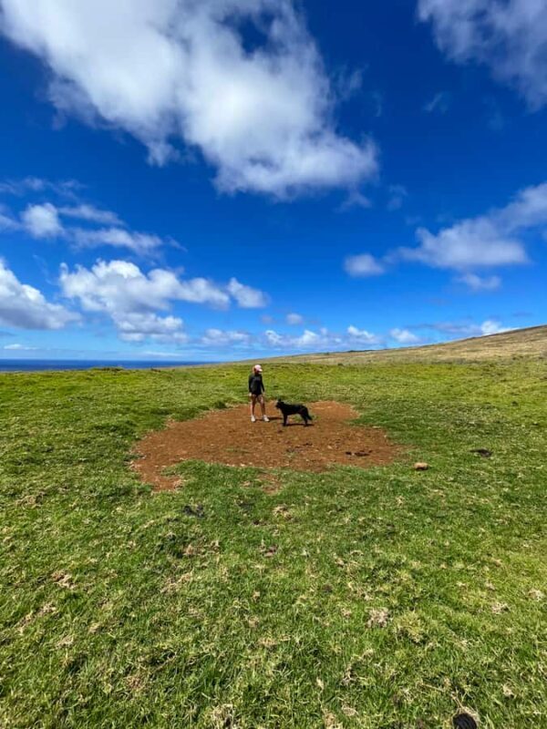Mystery of the Poike:Walk through the most unknown Rapa Nui - FAQ