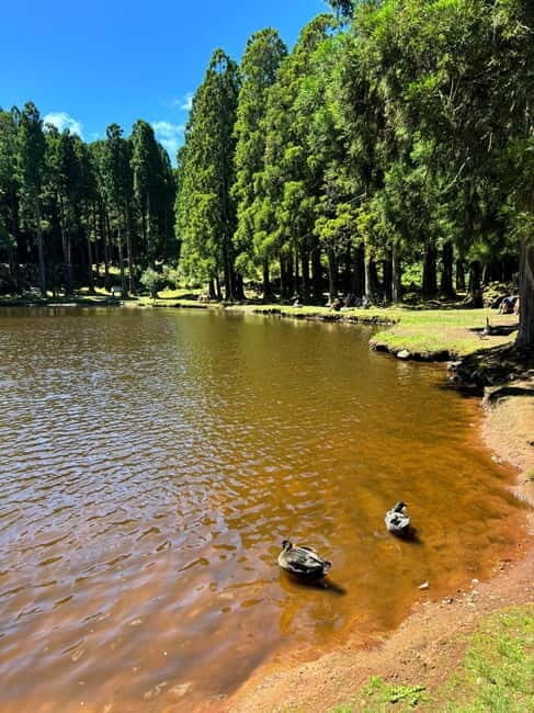 Mystery Tour of Terceira Island - Why Choose the Mystery Tour?