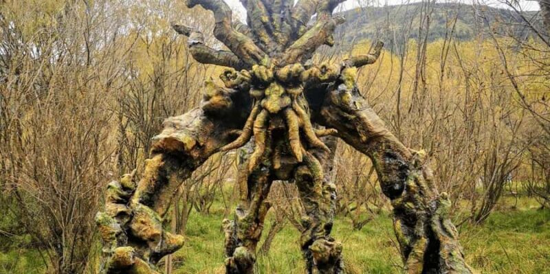 Mystic Cusco | Huasao, Valley of the Goblins, Morada | - In-Depth Look at the Mystic Cusco Tour