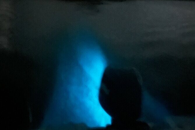 Mystic Waters A Bioluminescent Night Tour - The Itinerary in Detail