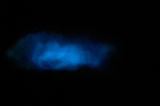 Mystic Waters A Bioluminescent Night Tour - Practical Tips for Your Bioluminescent Adventure