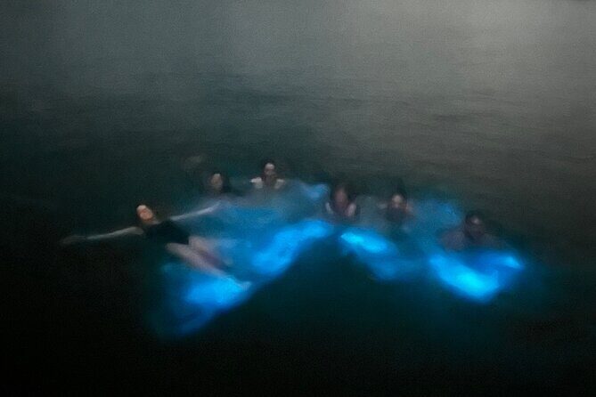 Mystic Waters A Bioluminescent Night Tour - Who Will Love This Tour?