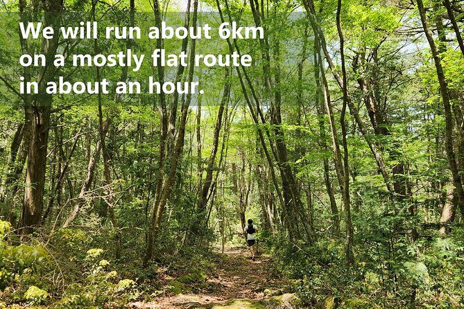 Mystical Fuji Forest Guide Running Trip (Shoe Rental Included) - Key Points