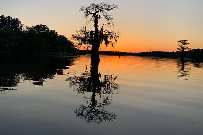 Mystical Private Kayak and Canoe Tours on Caddo Lake - Key Points
