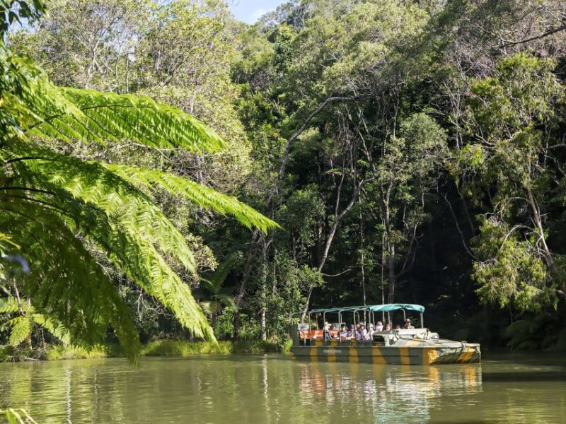 N. Queensland: Kuranda Rainforest Full-Day Tour - Final Thoughts