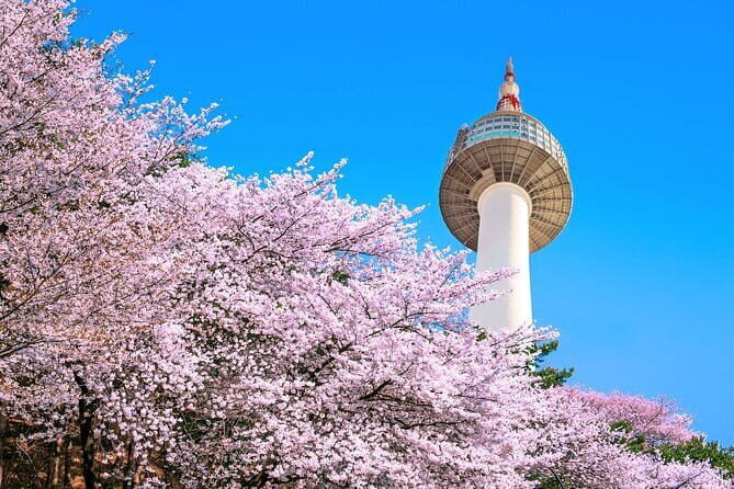 N Seoul Tower Observatory Ticket South Korea - Detailed Review of the N Seoul Tower Observatory Ticket Experience