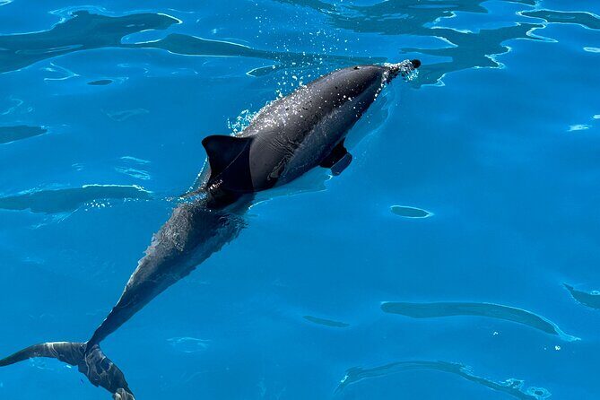 Na Pali Coast Power Catamaran - FAQ