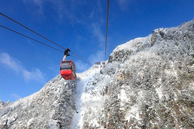 Nabana no Sato, Gozaisho Frozen Tree and Outlet Tour from Osaka - An Excursion to Japan’s Winter Wonderland: Nabana no Sato, Gozaisho, and Outlet Shopping