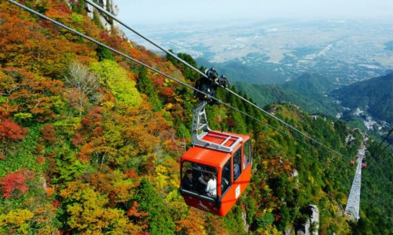 Nabana no Sato & Gozaishodake Ropeway Day Tour from Osaka - Should you book the Gozaisho and Nabana no Sato tour?