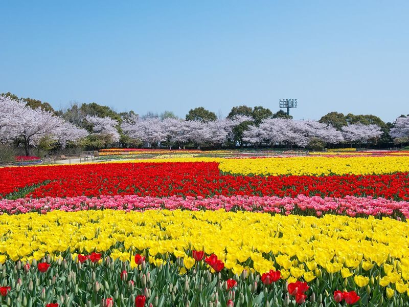 Nabana no Sato Light Show & Jazz Dream Nagashima Full-Day Tour with Onsen - The onsen stop: useful, but check the details