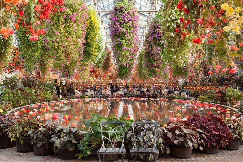Nabana no Sato Light Show & Jazz Dream Nagashima Full-Day Tour with Onsen - What the guide adds