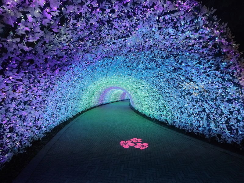 Nabana no Sato Light Show & Jazz Dream Nagashima Full-Day Tour with Onsen - Should you book this Kuwana tour?
